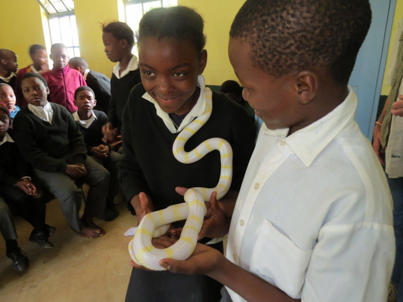 Dargle children get up close to a snake
